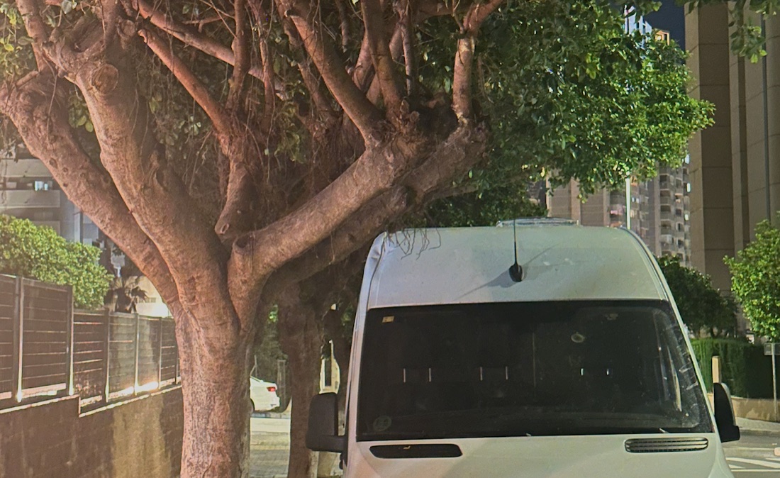 Cuidado con los árboles